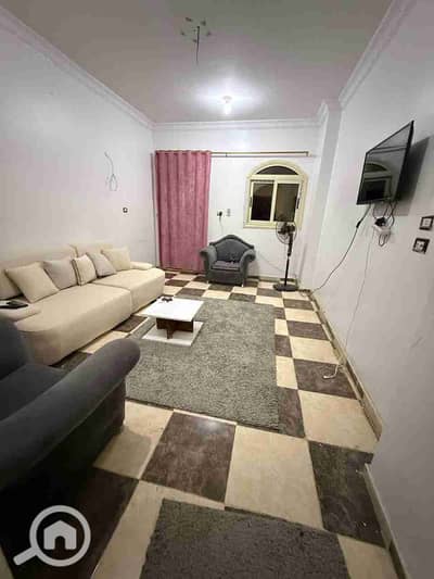 3 Bedroom Flat for Rent in Zagazig, Sharqia - 1000600443. jpg 3 Bedroom Flat for Rent in Zagazig, Sharqia - 1000600443. jpg