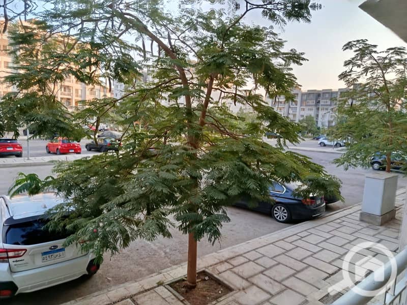 6 WhatsApp Image 2025-12-09 at 3.46. 56 AM (3). jpeg