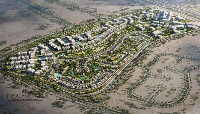 6 WhatsApp Image 2025-12-07 at 16.15. 07_6f0da5b6. jpg