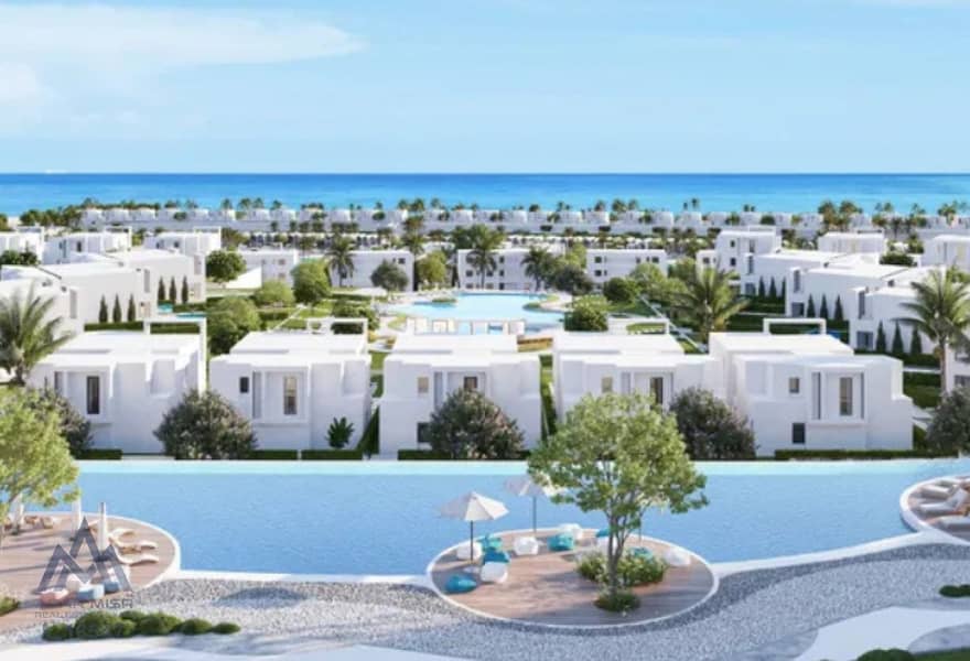 3 56f8fe06-916e-4208-8d7d-929805e83a72. jpg