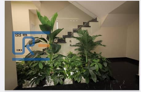 3 Bedroom Townhouse for Rent in New Cairo, Cairo - IMG-20251209-WA0273. jpg