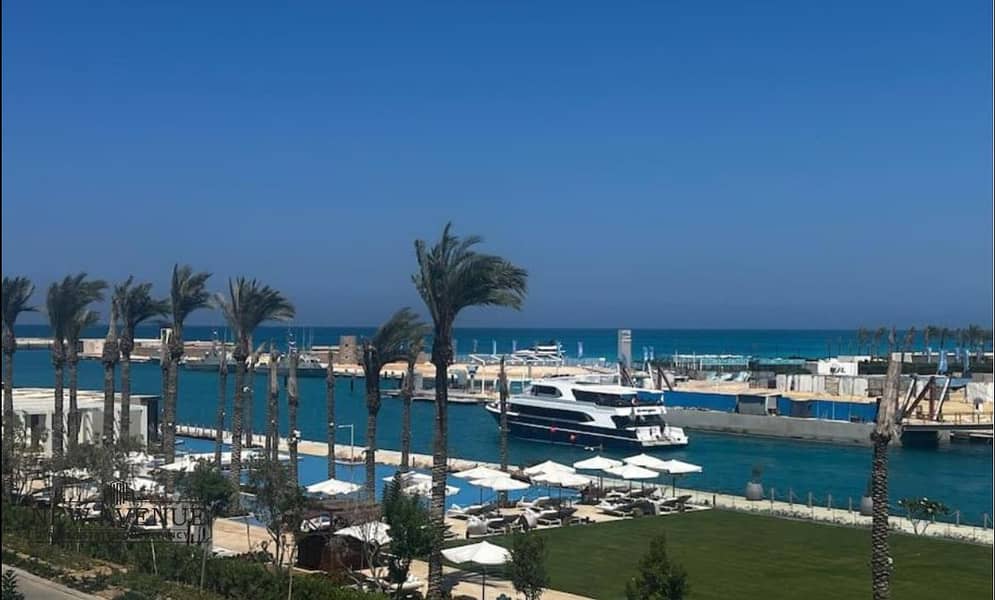 3 WhatsApp Image 2025-12-07 at 17.16. 16_661fd29f. jpg