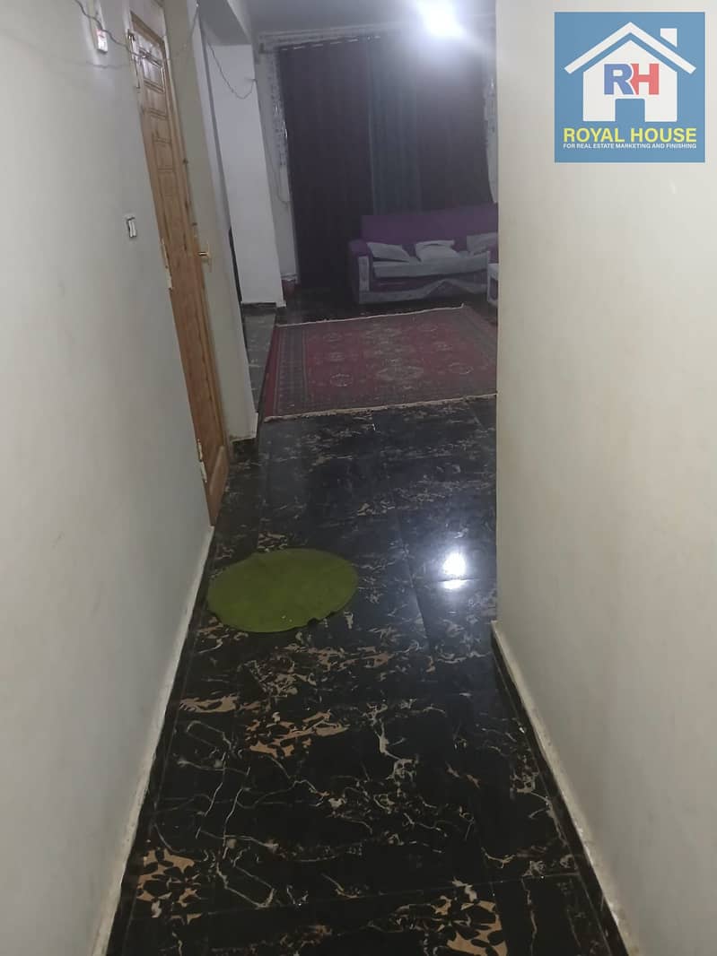 7 d7db41d5-eb1e-4a02-9d67-4f0c5b1b37a8. jpeg