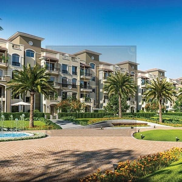 5 spine-a-area-1-cam-a-02-3 (1). jpg