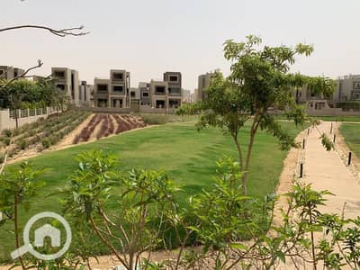 4 Bedroom Villa for Sale in New Cairo, Cairo - WhatsApp Image 2025-12-10 at 11.12. 56 AM (2). jpeg