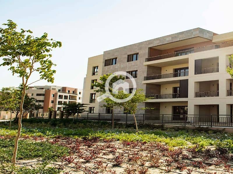 2 c5369a3ed629437cbdb9e1ad4032daeeDSq599 (1). jpg