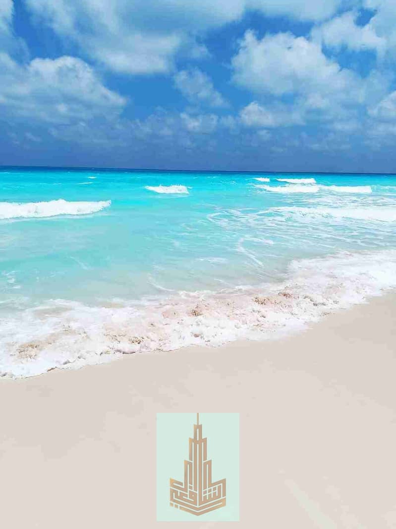 4 IMG-20251210-WA0010. jpg