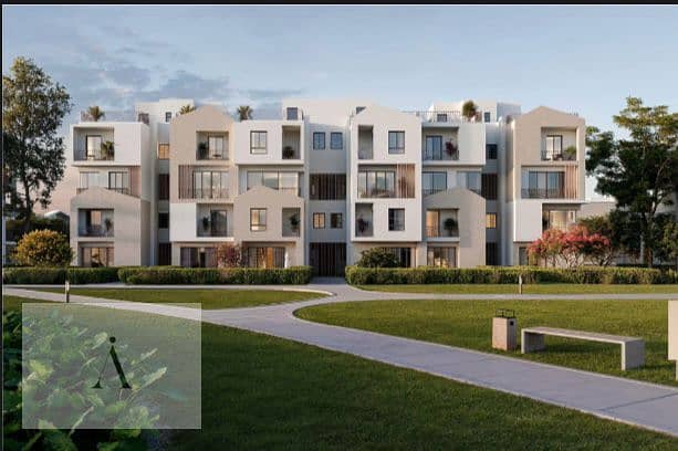 4 WhatsApp Image 2025-08-06 at 1.29. 39 PM (2). jpeg