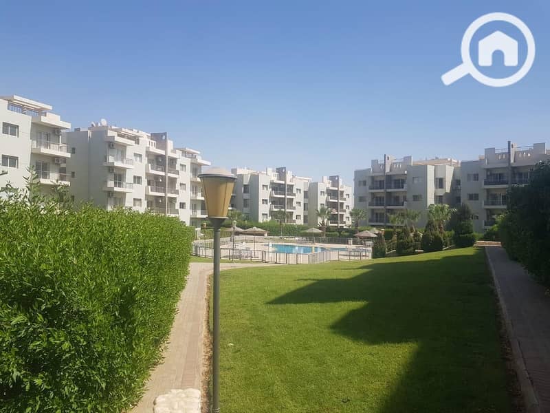 8 WhatsApp Image 2025-04-16 at 14.17. 07_a3d315db. jpg