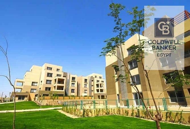 4 6384134-d4989o. jpg