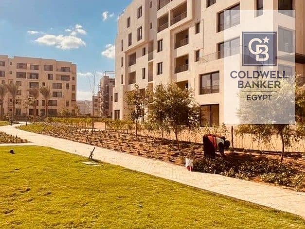 8 5mZ5GTNn6VJpP7Hcl4wM. jpg