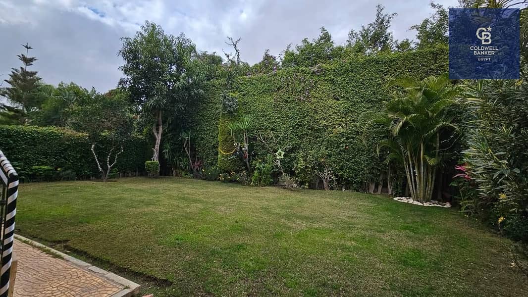 4 6e4ca054-a405-40b5-81c9-b16ee85e8b64. jpeg