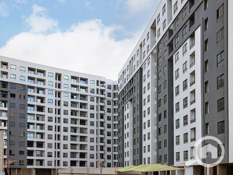 8 قطاميه جيت . jpg