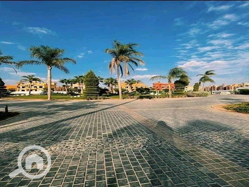 11 8f4f0751-e298-4817-868a-1767351592ef. jpg