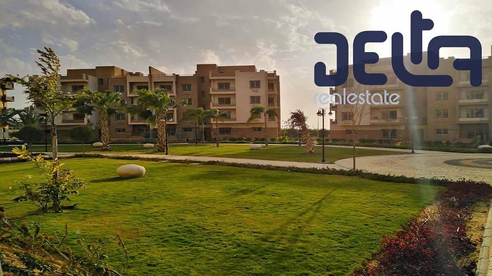 4 583328151_1370304511243574_1272043253290313657_n. jpg