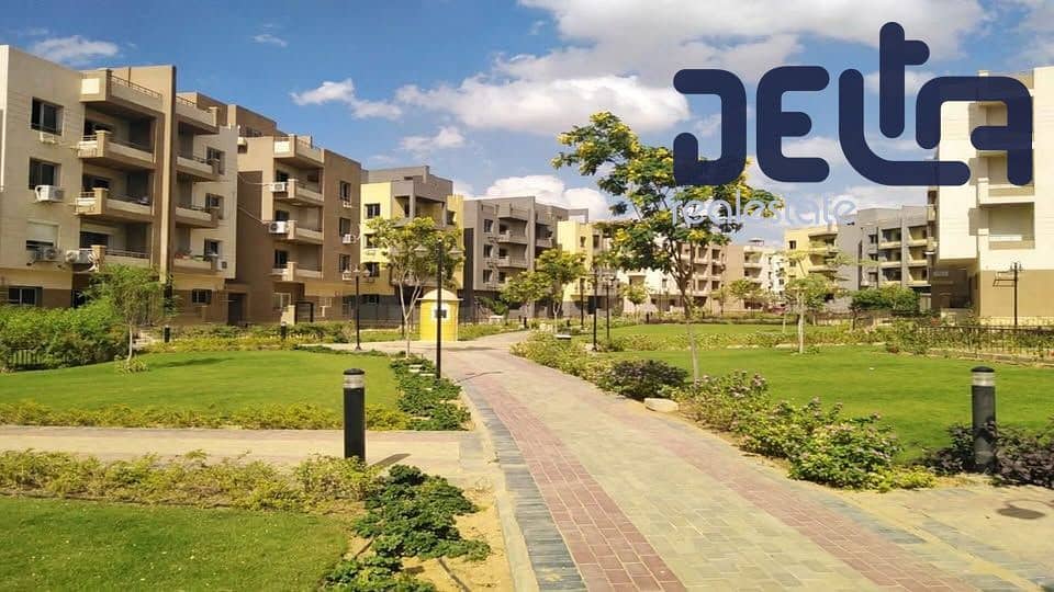 8 584758301_1370304647910227_8779189168390257459_n. jpg