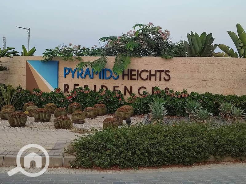 9 481735979_1299164041157009_7070736556259146776_n. jpg