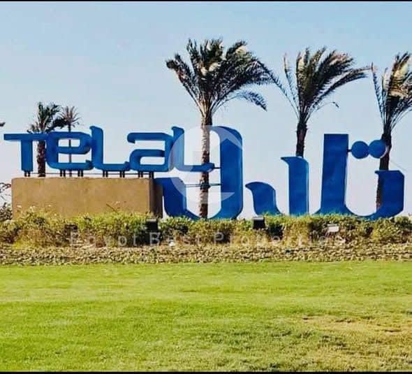 6 587077702_1476980433369196_5951158363772121965_n. jpg