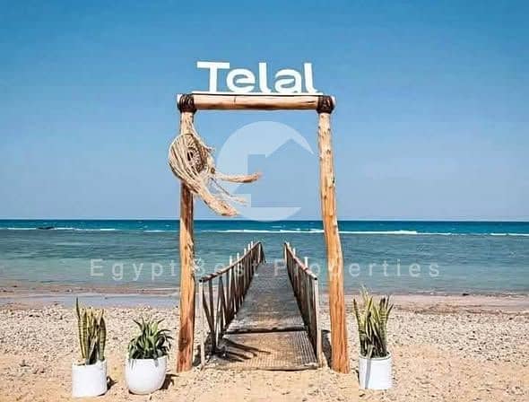 7 562358249_122170153730900138_3173283119683450917_n. jpg