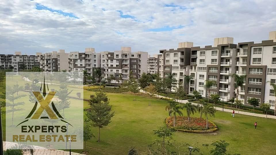 WhatsApp Image 2025-05-22 at 12.45. 46 PM. jpeg WhatsApp Image 2025-05-22 at 12.45. 46 PM. jpeg