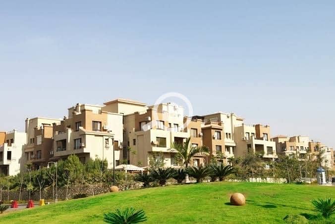 4 7495548E-F333-4404-B0CC-4E4A7E251AB8. jpeg