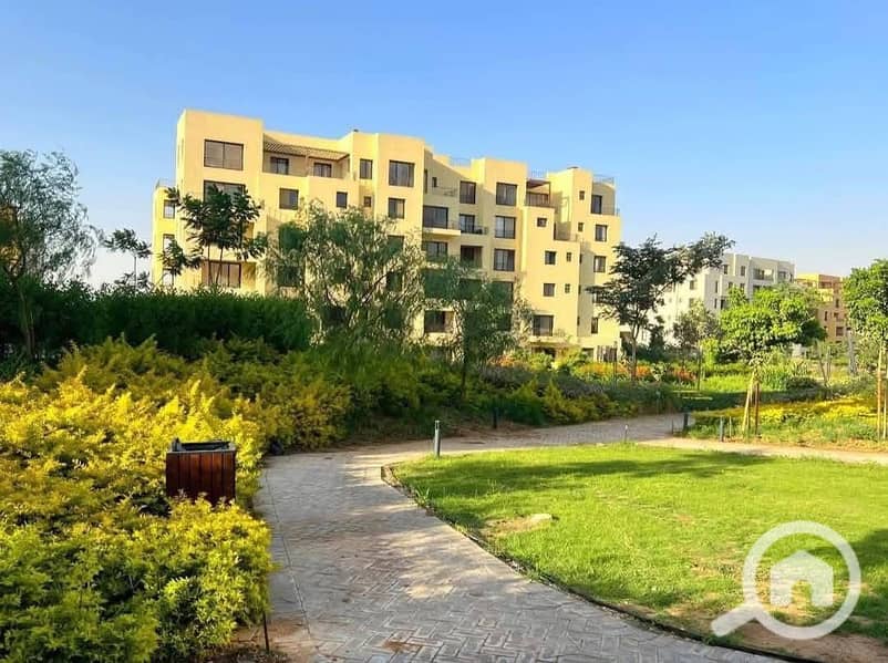 7 499878787_2594098277463306_4890975950724334072_n. jpg