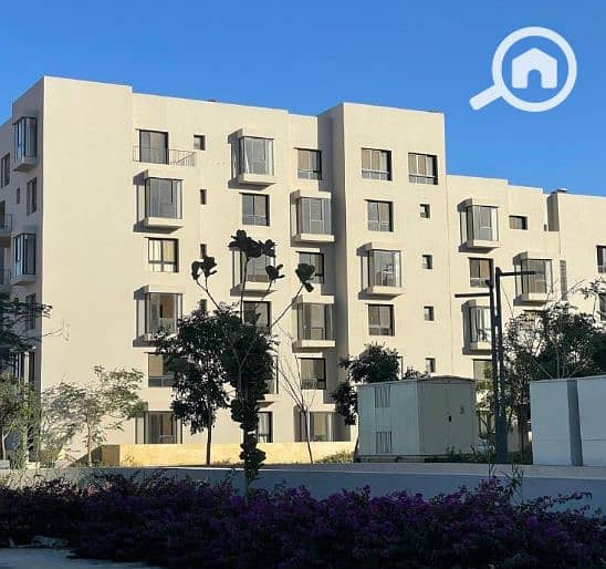 8 Screenshot (2444). png