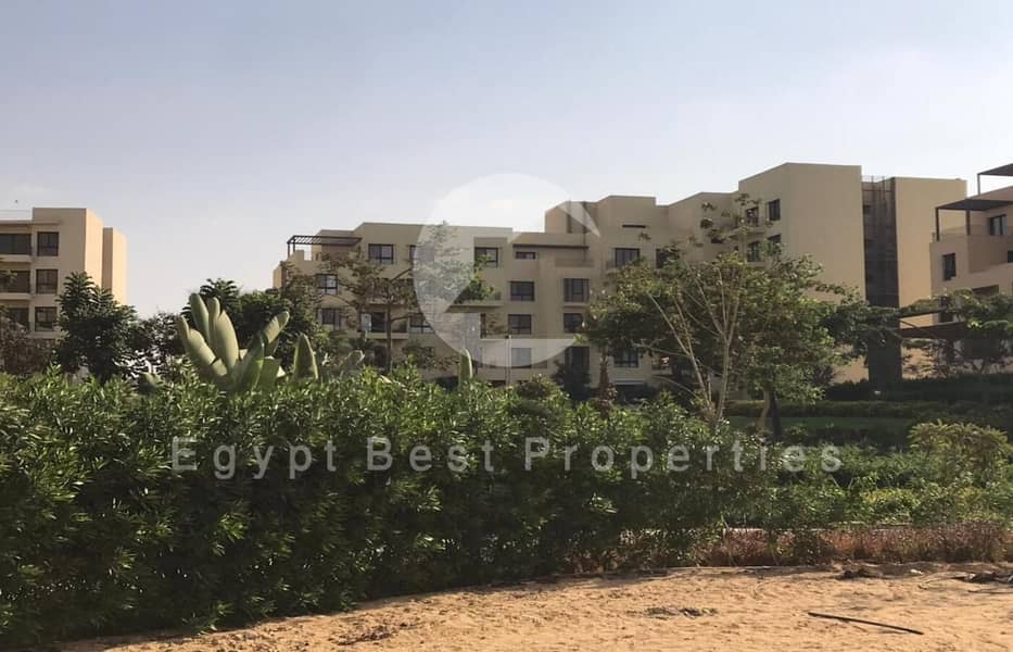 9 WhatsApp Image 2025-12-02 at 17.01. 38_57228d27. jpg