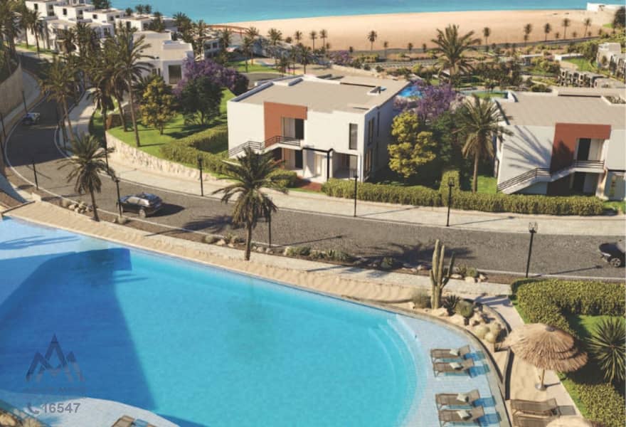 3 3788cdb5-2142-47e1-a4cc-00371aa9255f. jpg