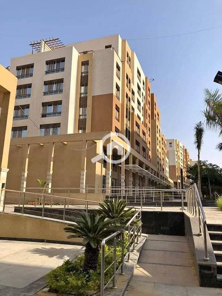 6 473220553_1347368929633210_3412537613646077141_n. jpg