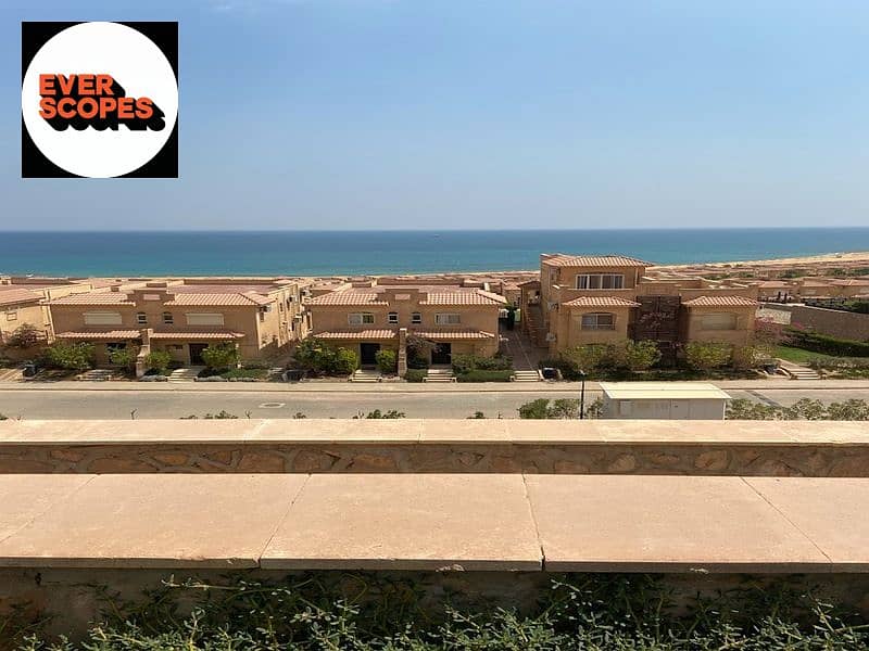 7 2022-05-04 (1). jpg