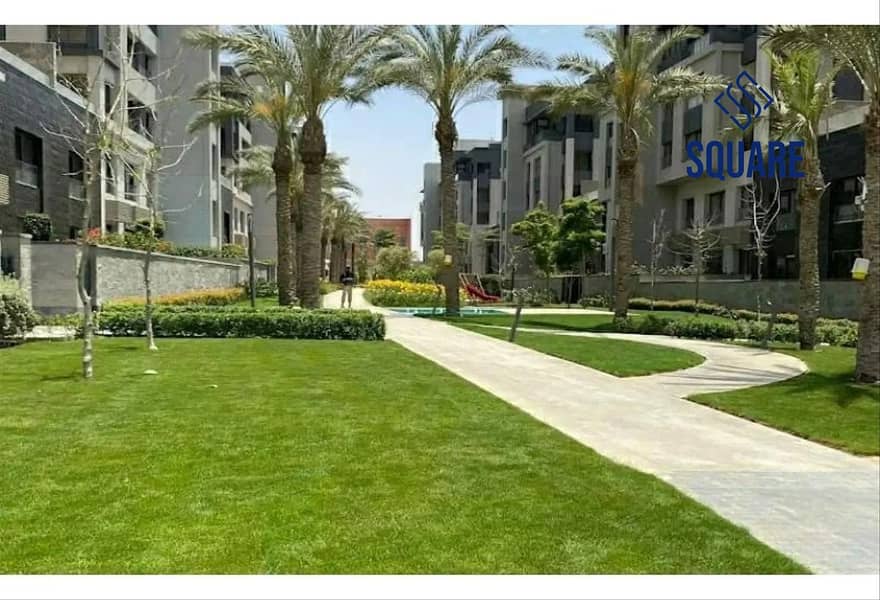 7 8165569-2ca53o. jpg