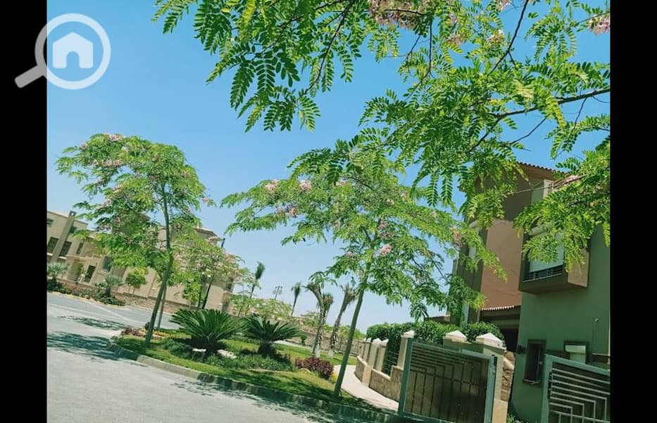 7 484826736_988598476710287_7141014131860422418_n. jpg