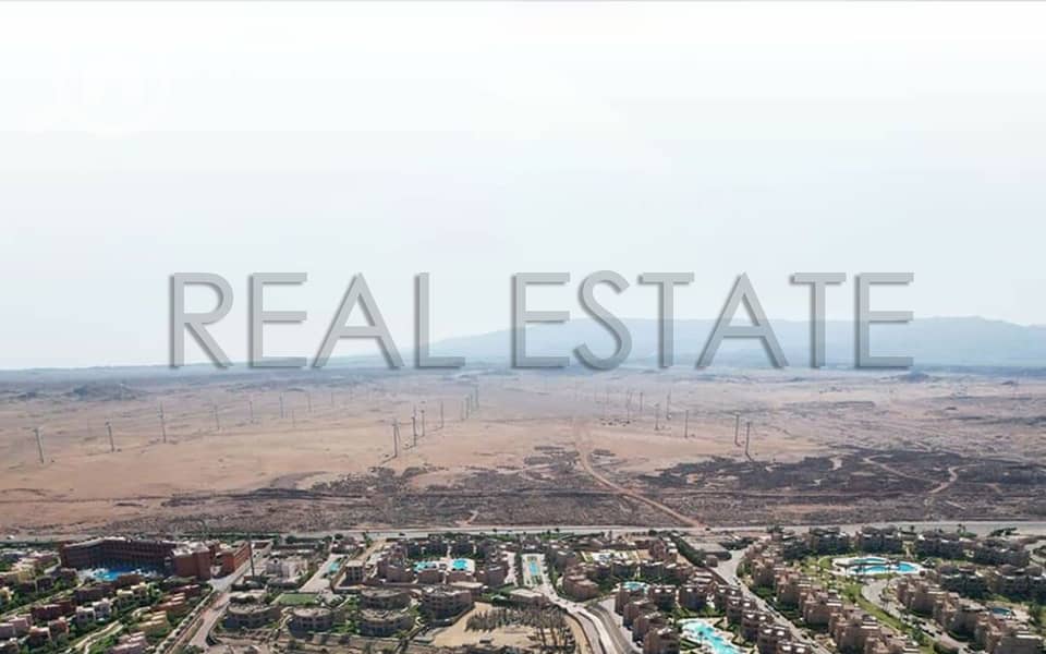 3 1711464772578. jpg