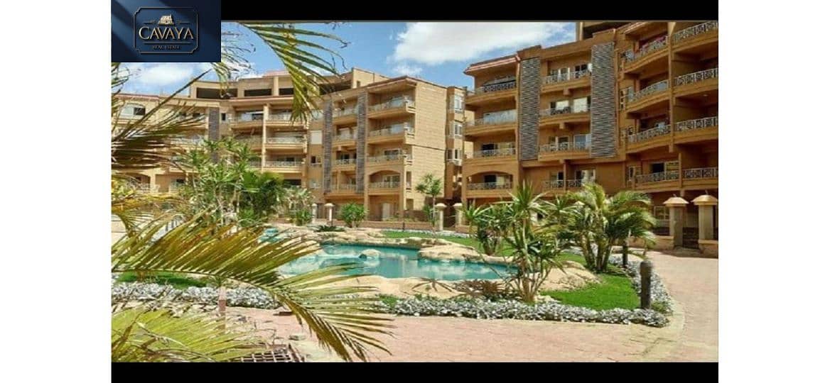 5 Untitled design (5). png