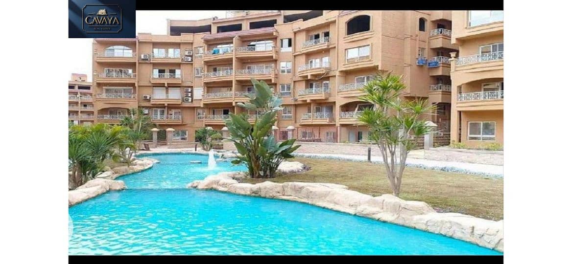 6 Untitled design (6). png