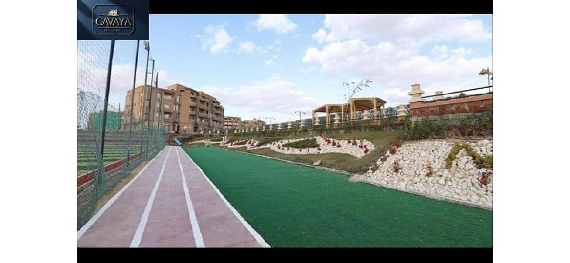 7 Untitled design (7). png