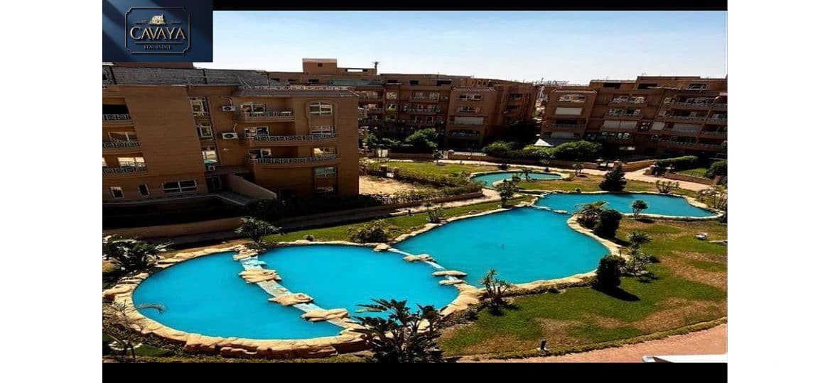 10 Untitled design (10). png