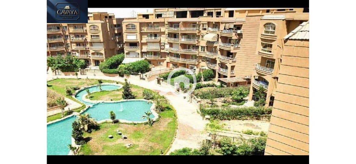 11 Untitled design (11). png