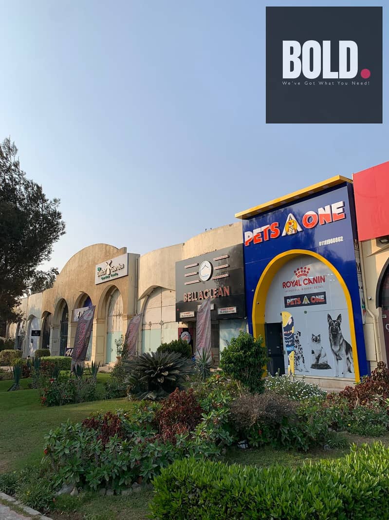 8 3e25c446-7a7a-401c-bf39-18376a2122a5. jpg