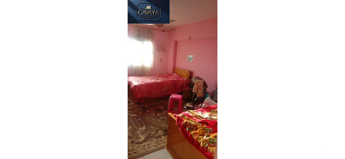 11 Untitled design (14). png