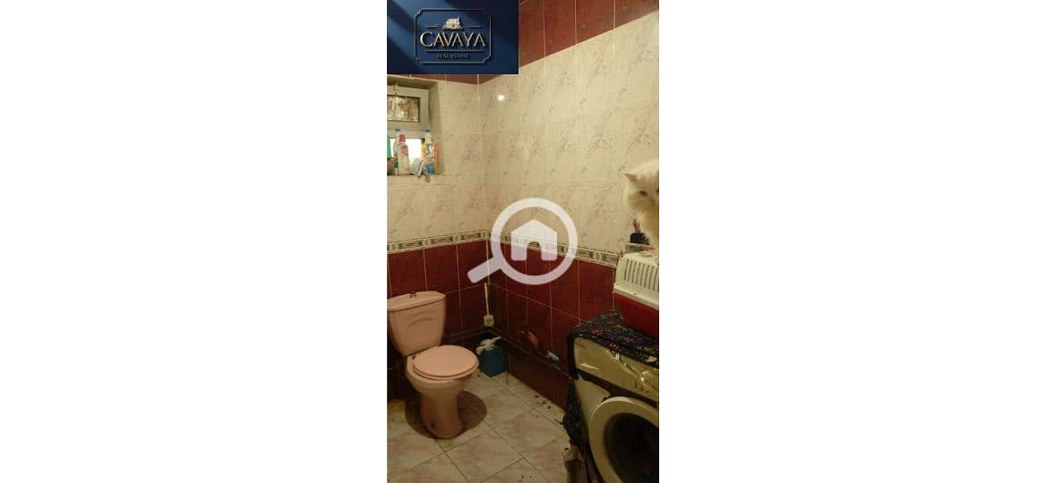 14 Untitled design (18). png