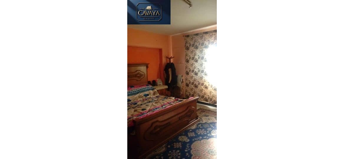 15 Untitled design (19). png