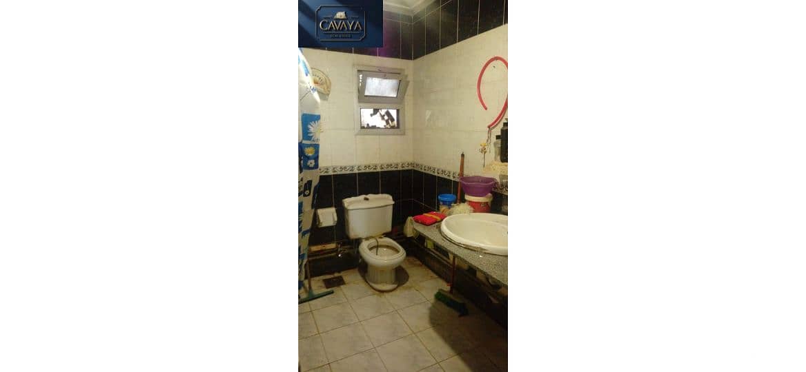 17 Untitled design (21). png