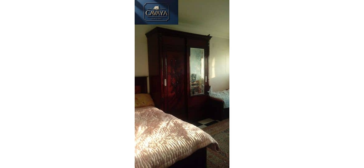 18 Untitled design (22). png