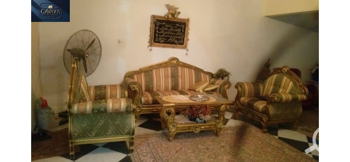 19 Untitled design (24). png