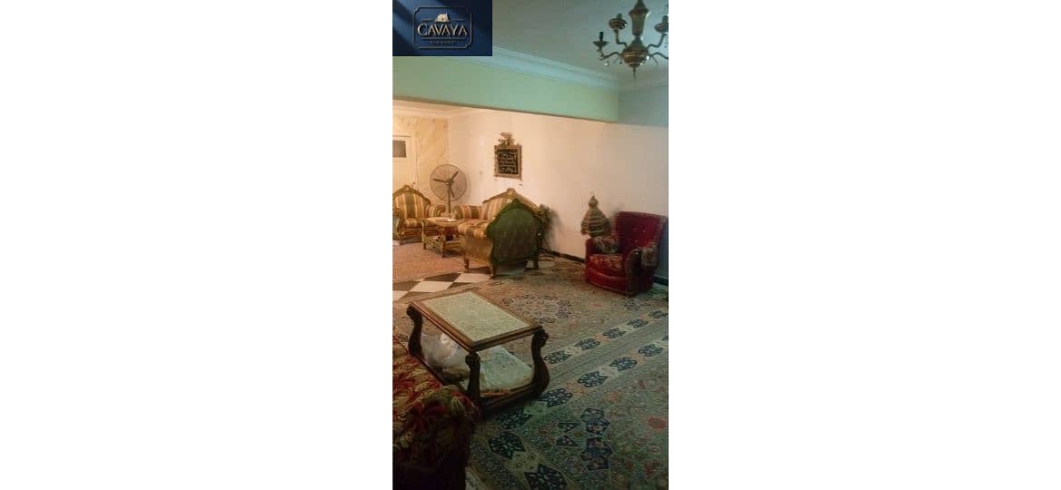 20 Untitled design (25). png