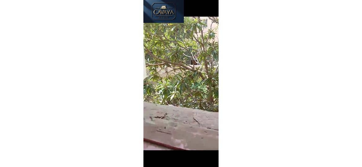 5 Untitled design (3). png