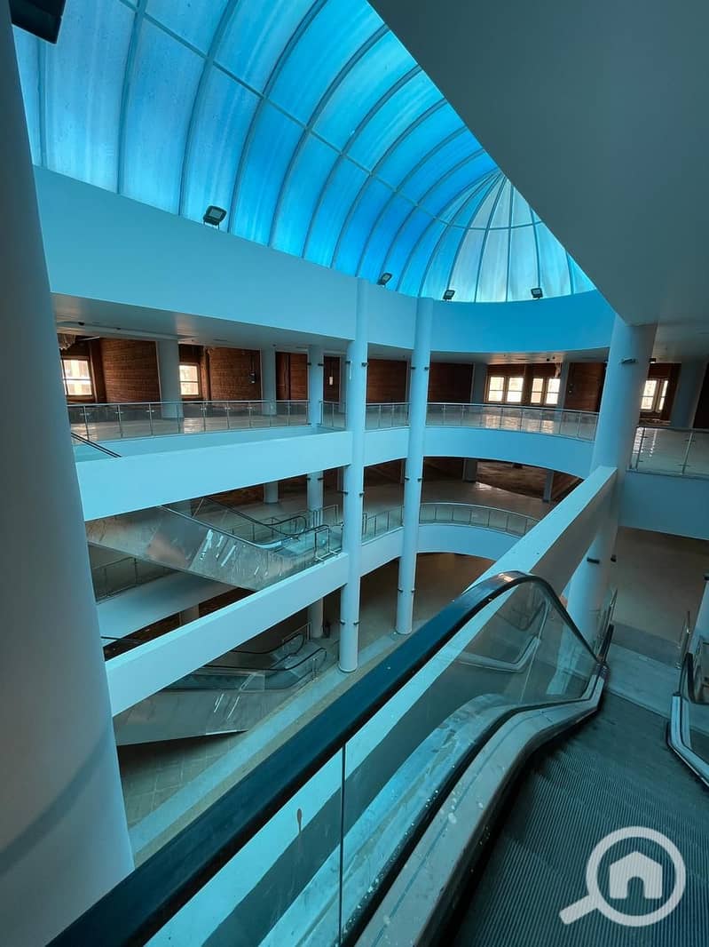 IMG-20251012-WA0239. jpg IMG-20251012-WA0239. jpg