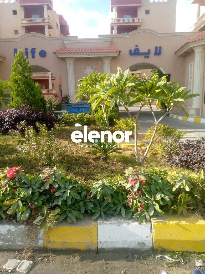 10 WhatsApp Image 2025-12-10 at 14.11. 56_e1134968. jpg